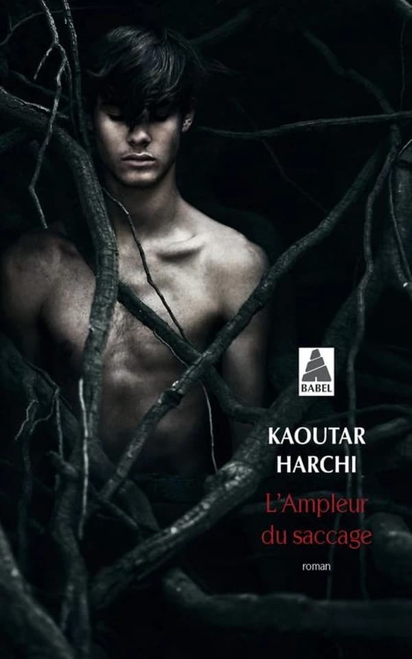 L'ampleur du saccage (Babel) (French Edition)