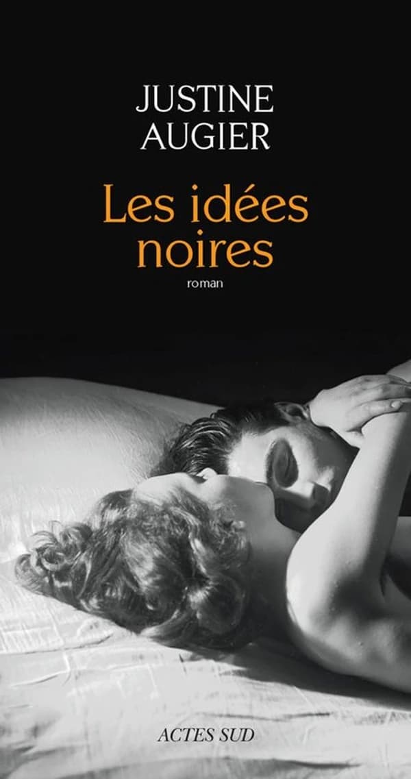 Les idées noires : roman