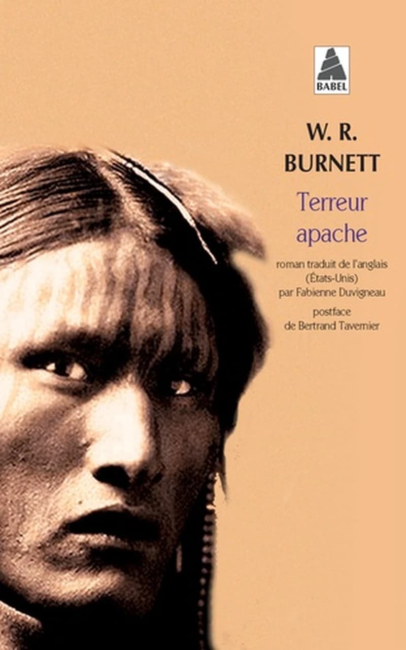 Terreur apache : roman