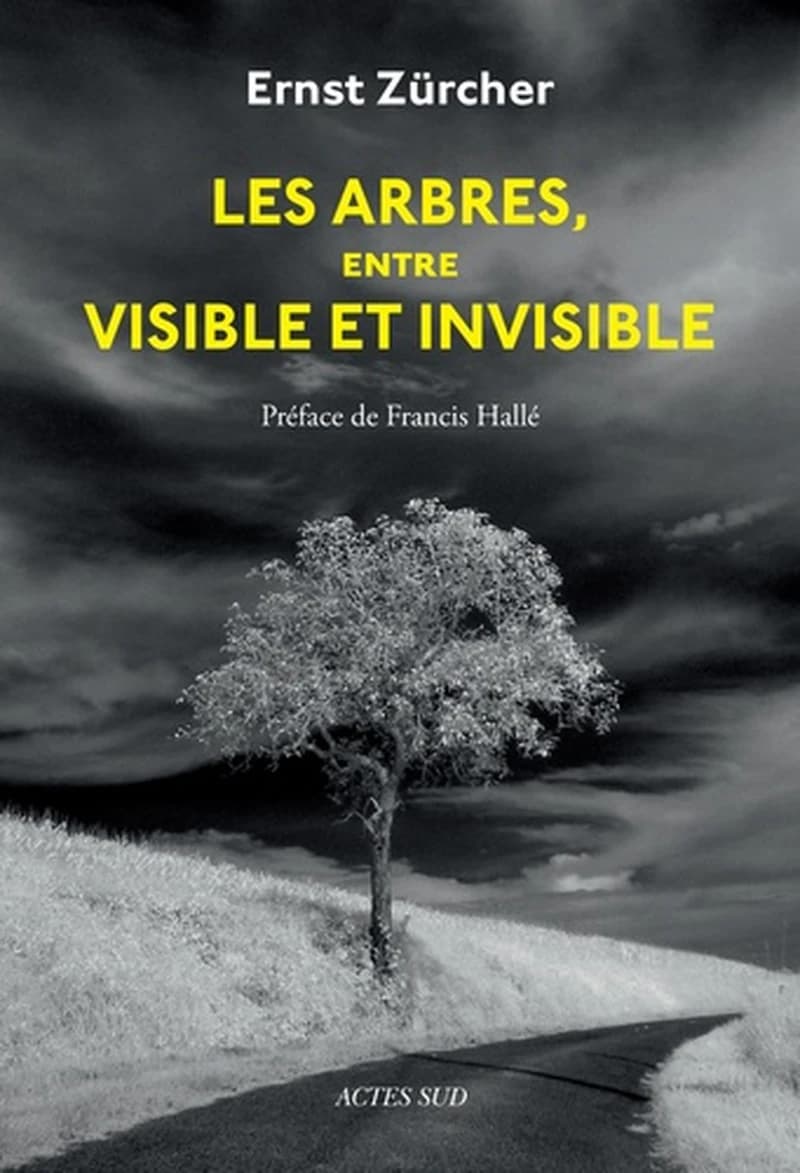 Les arbres, entre visible et invisible : s'étonner, comprendre, agir