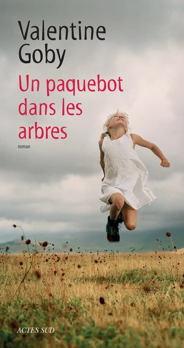 Un paquebot dans les arbres : roman