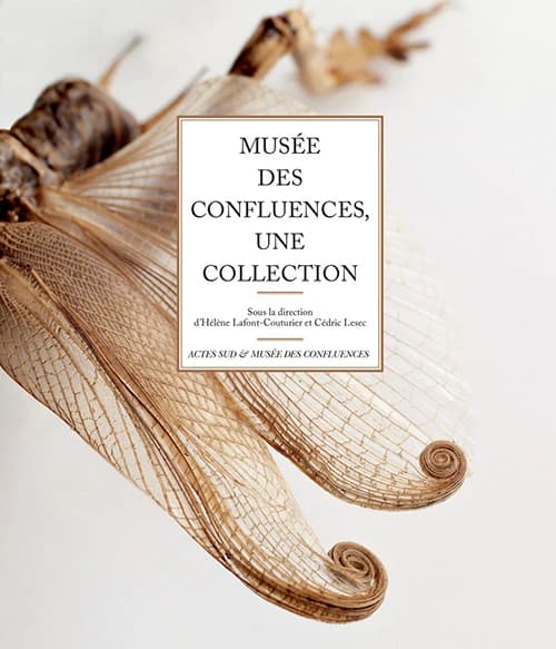 Musée des confluences, une collection