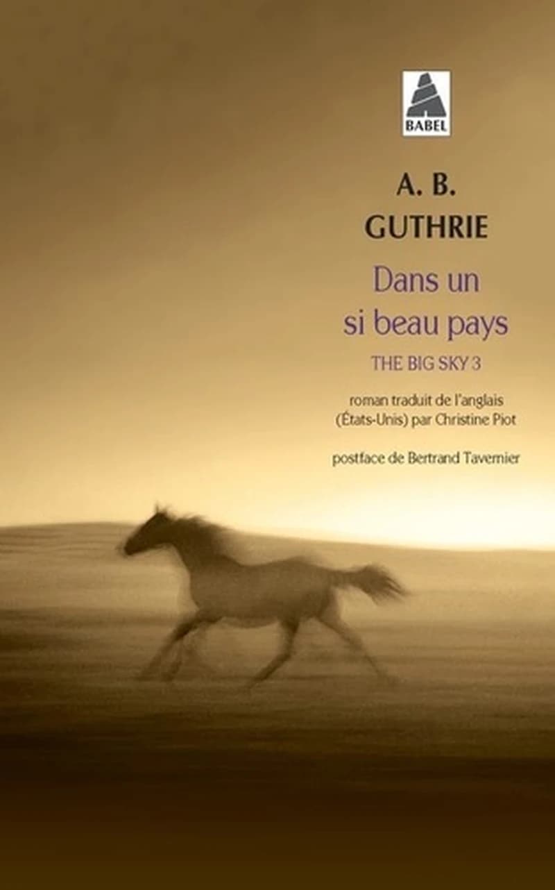 Dans un si beau pays : roman