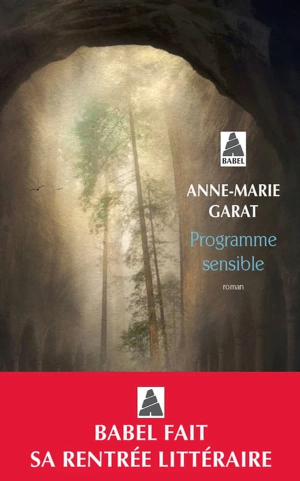 Programme sensible : roman