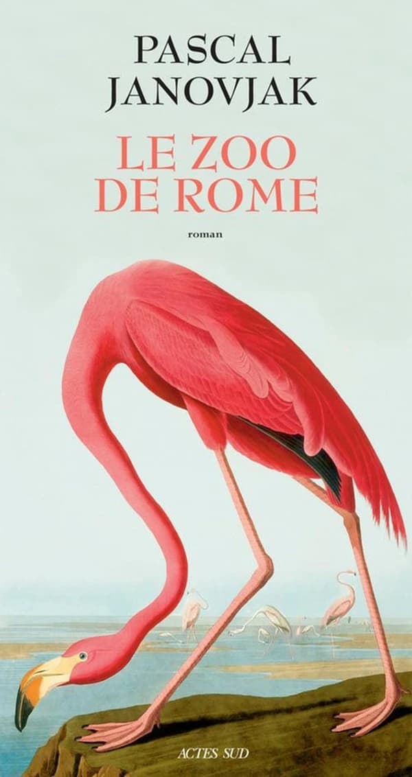 Le zoo de Rome : roman