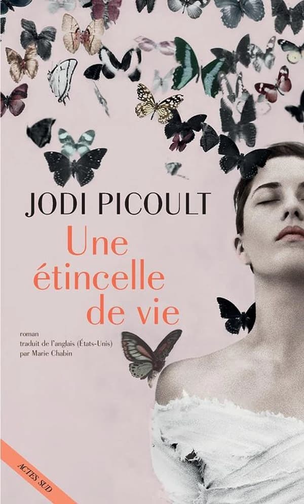 Une étincelle de vie : roman