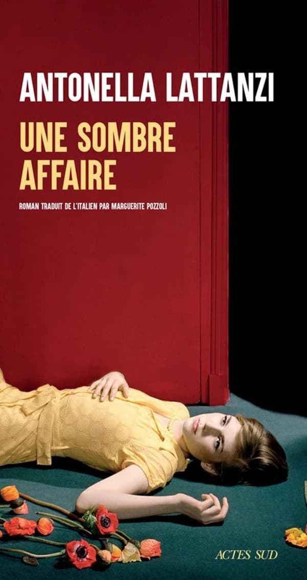 Une sombre affaire : roman