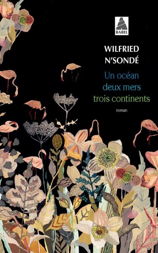 Un océan, deux mers, trois continents : roman