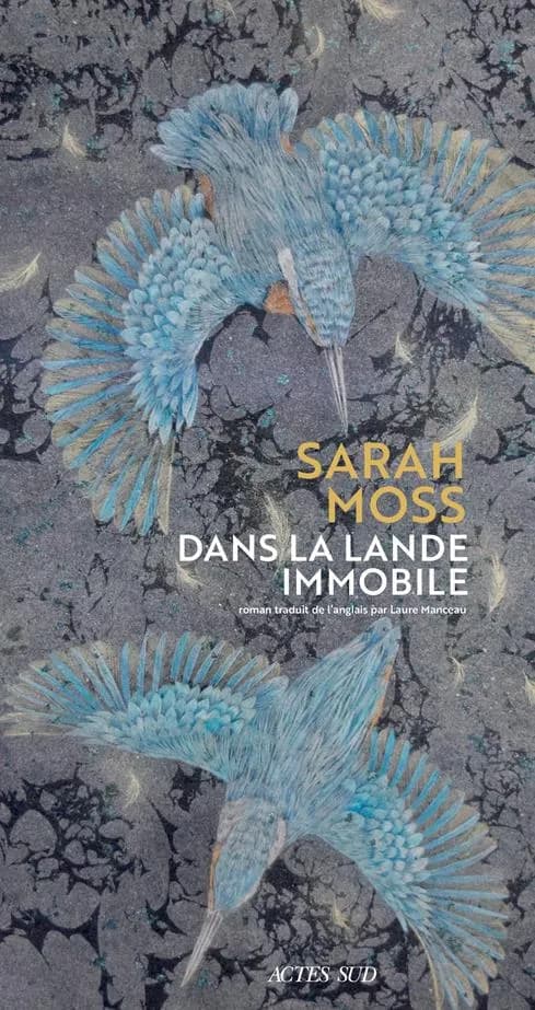 Dans la lande immobile : roman