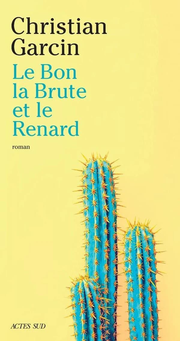 Le bon, la brute et le renard : roman