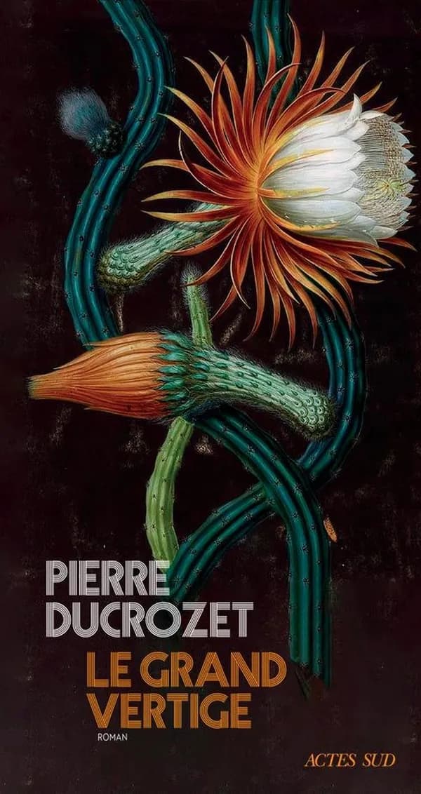 Le grand vertige : roman