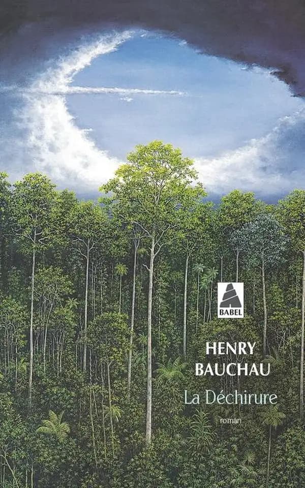 La déchirure : roman (Éd. revue et corrigée) Henry Bauchau