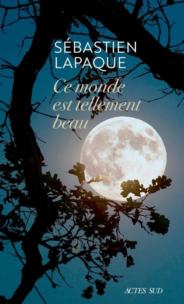 Ce monde est tellement beau : roman