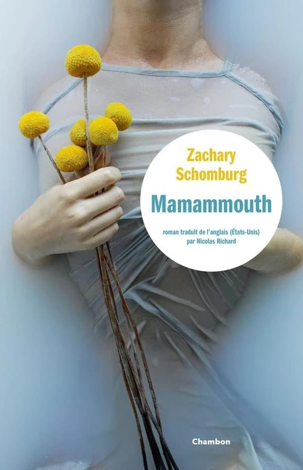 Mamammouth : roman