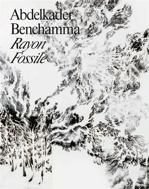 Abdelkader Benchamma, Rayon fossile : [exposition, Avignon, Collection Lambert, 30 octobre 2021-20 février 2022]