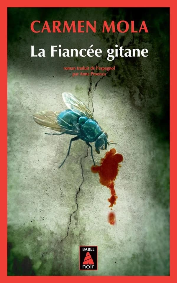 La fiancée gitane : roman