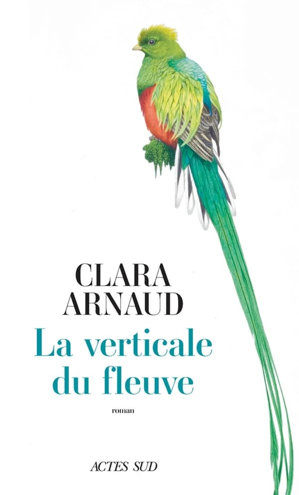 La Verticale du fleuve