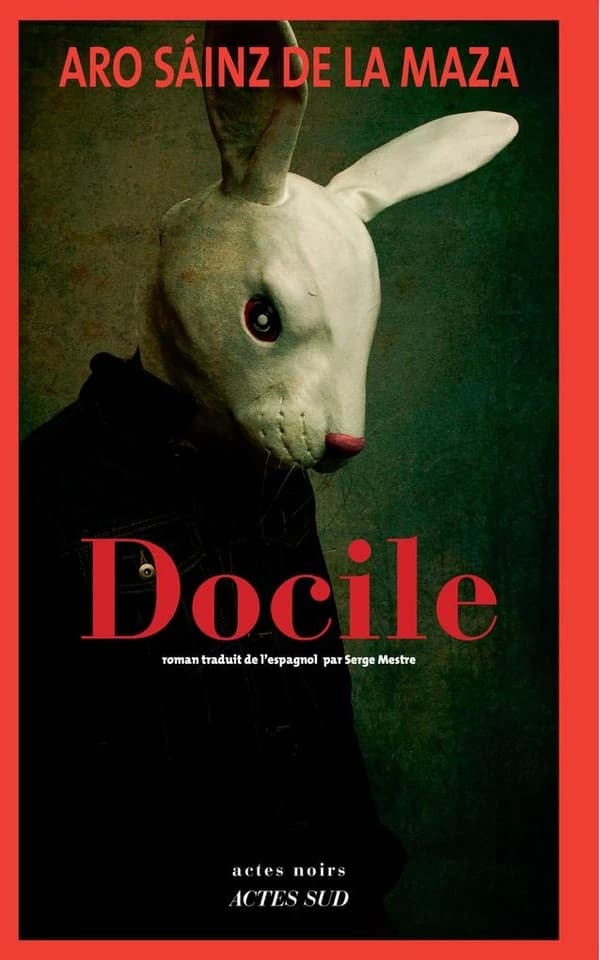 Docile : roman