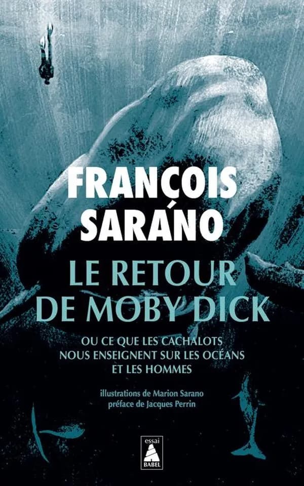 Le retour de Moby Dick ou Ce que les cachalots nous enseignent sur les océans et les hommes : documentaire