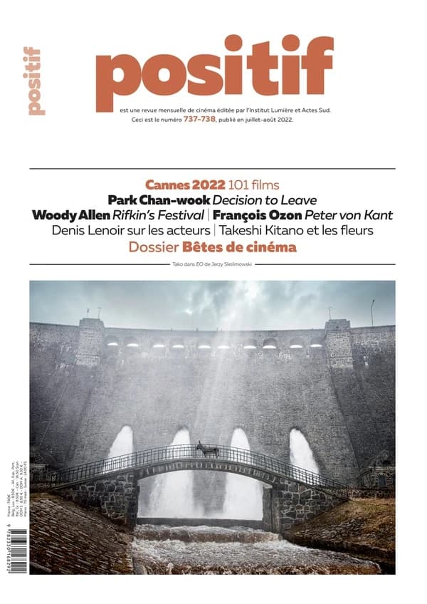 Revue positif n.737