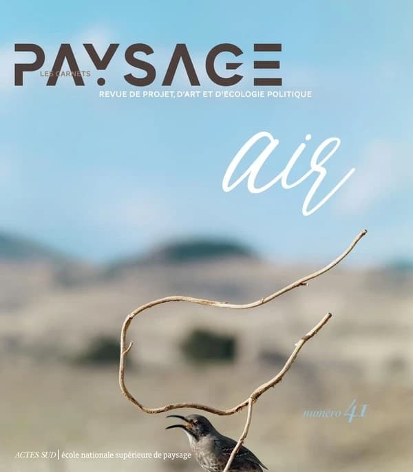 Les carnet du paysage n.41 : l'air