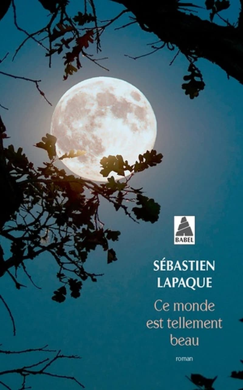 Ce monde est tellement beau : roman