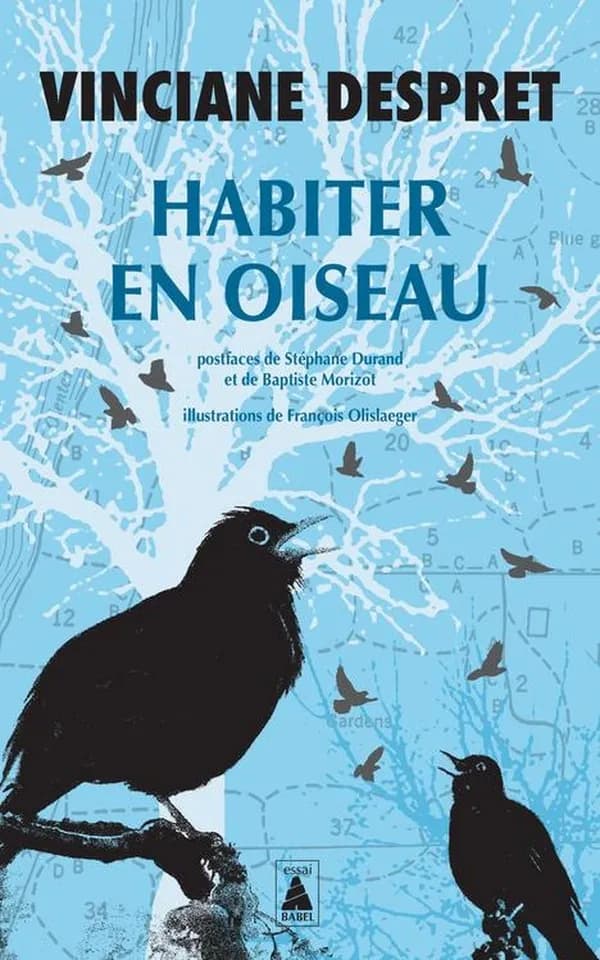Habiter en oiseau : essai