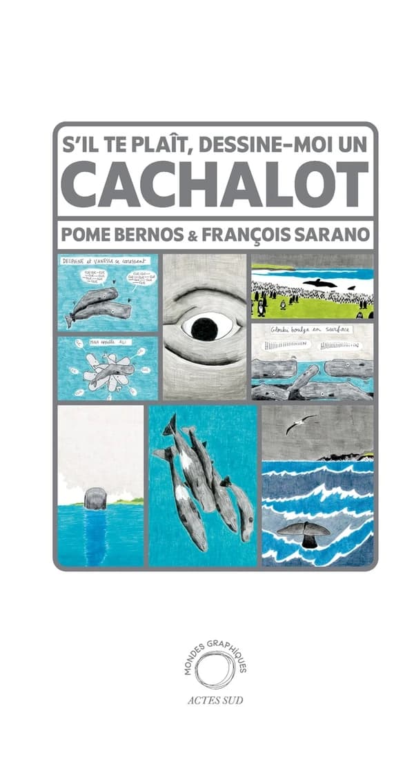S'il te plaît, dessine-moi un cachalot