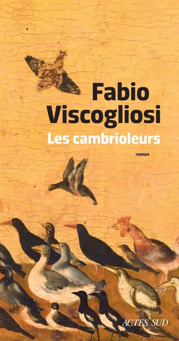 Les cambrioleurs : roman