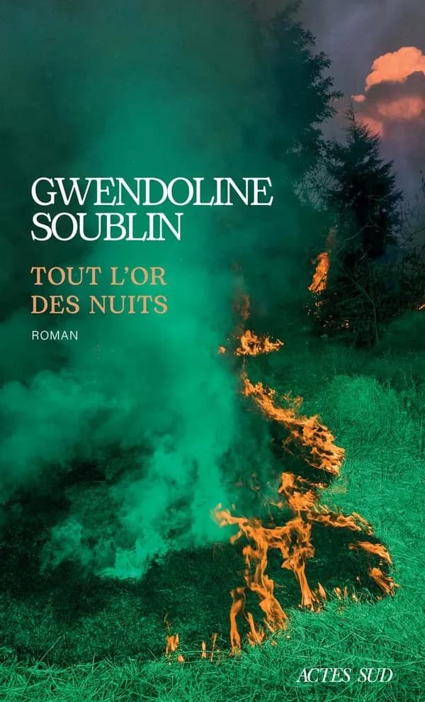 Tout l'or des nuits : roman