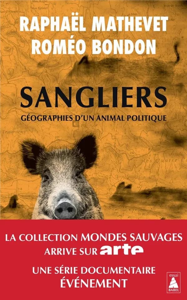 Sangliers, géographies d'un animal politique : essai