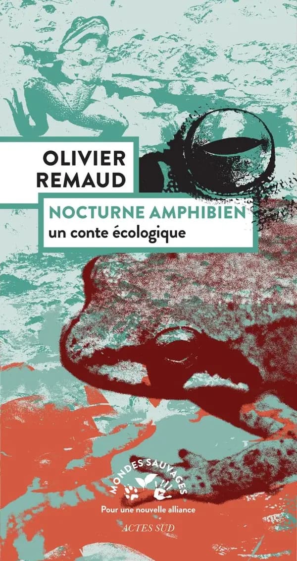 Nocturne amphibien