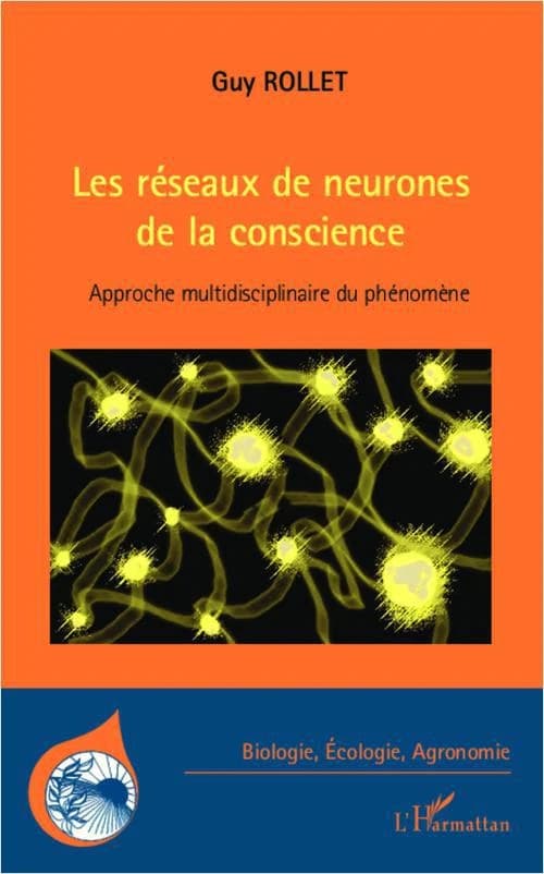 Les réseaux de neurones de la conscience : approche multidisciplinaire du phénomène