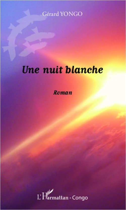 Une nuit blanche : roman