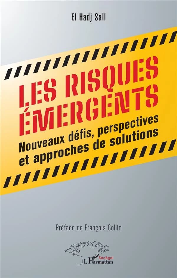 Les risques émergents : nouveaux défis, perspectives et approches de solutions