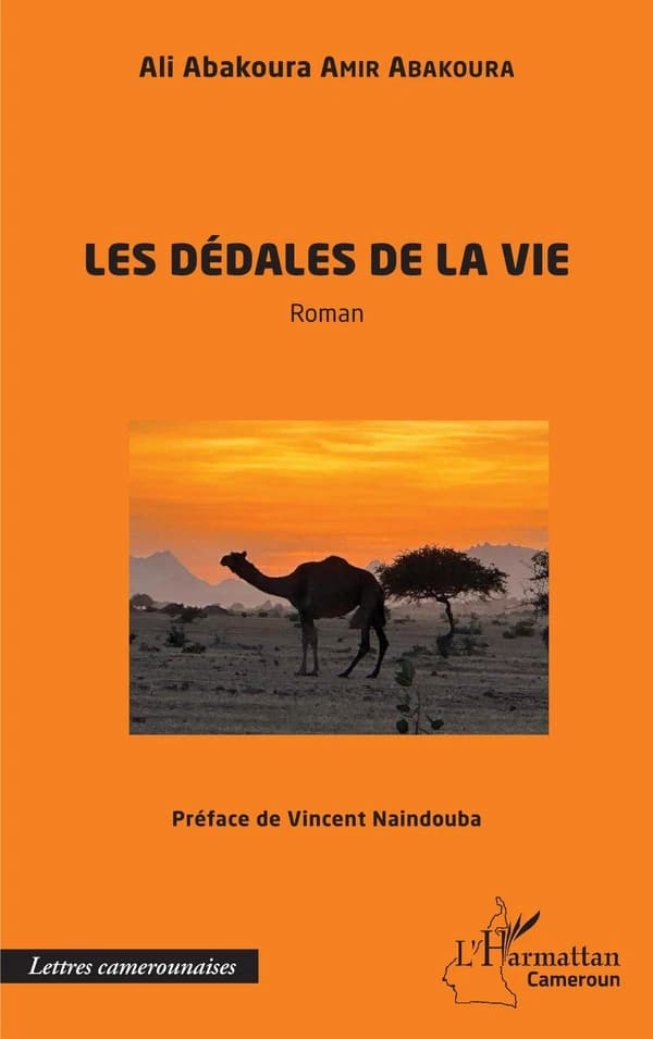 Les dédales de la vie : roman