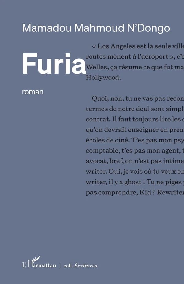 Furia : roman