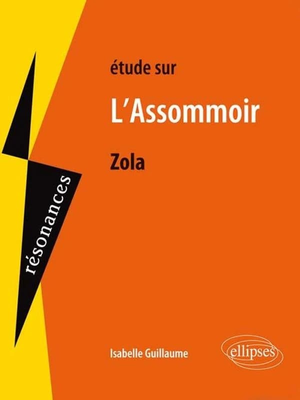 Étude sur Émile Zola, "L'assommoir"