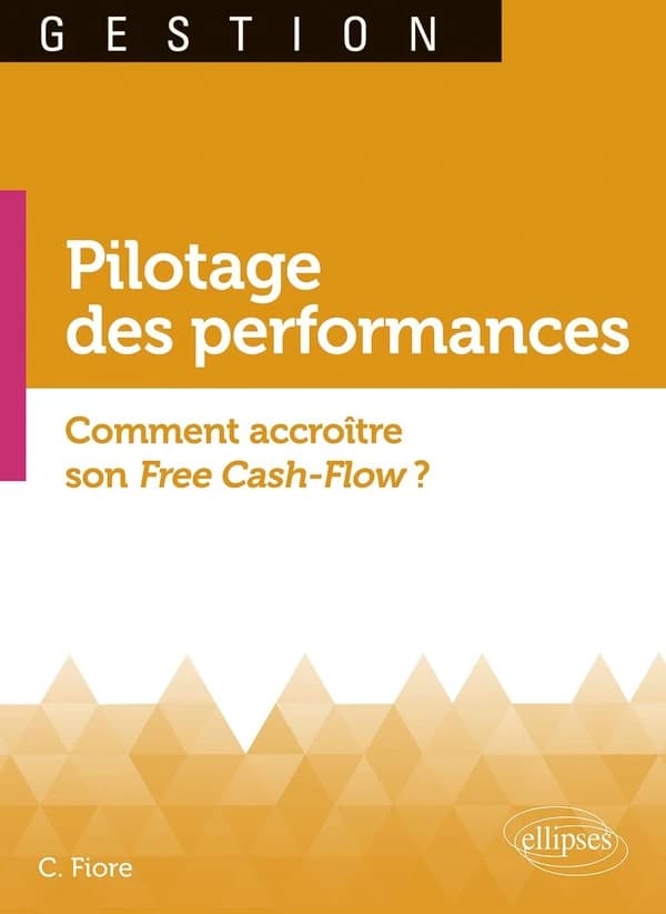 Pilotage des performances : comment accroître son free cash-flow : une boussole pour naviguer sur les flux des entreprises