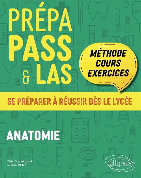 Anatomie