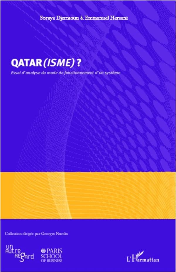 Qatar(isme) ? : essai d'analyse du mode de fonctionnement d'un système