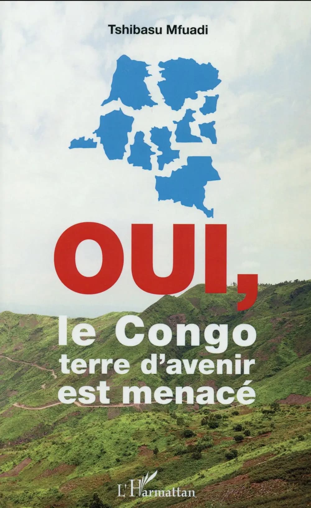 Oui, le Congo terre d'avenir est menacé