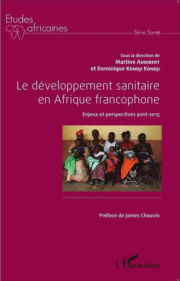 Le développement sanitaire en Afrique francophone : enjeux et perspectives