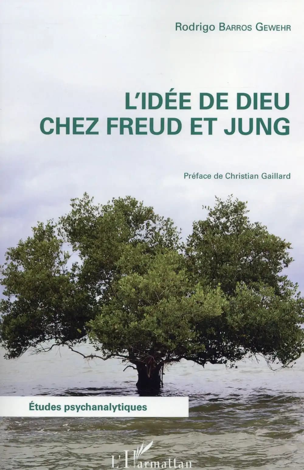 L'idée de Dieu chez Freud et Jung