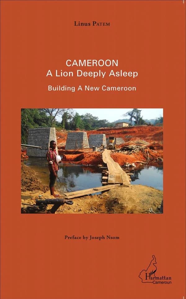 Cameroon : a lion deeply asleep, building a new Cameroon