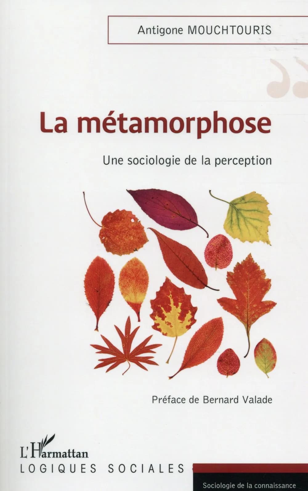 La métamorphose : une sociologie de la perception