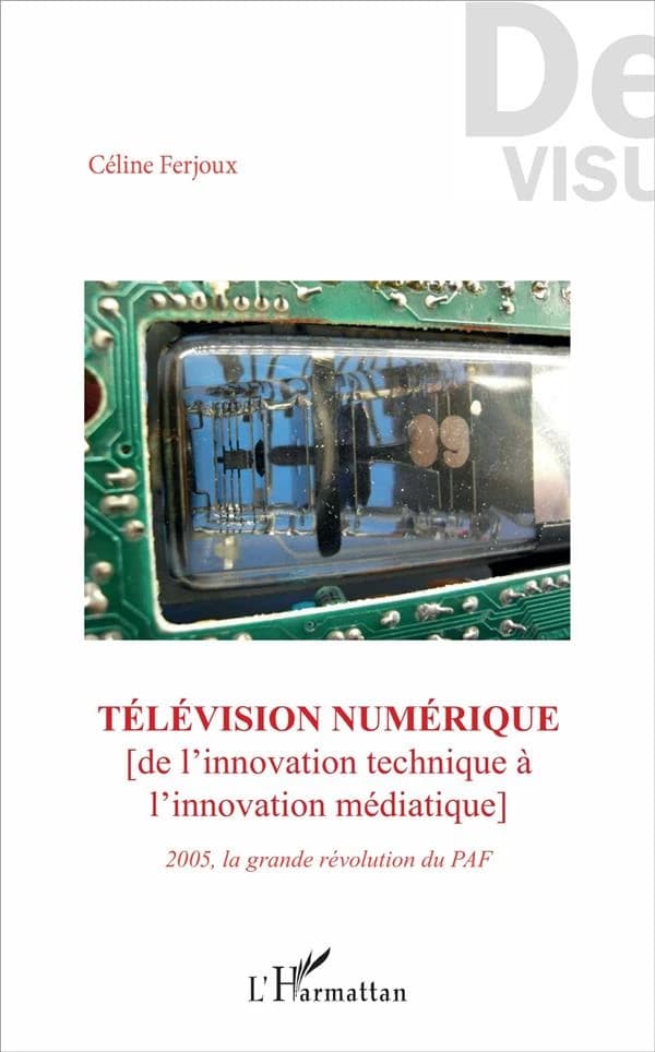 Télévision numérique : de l'innovation technique à l'innovation médiatique : 2005, la grande révolution du PAF