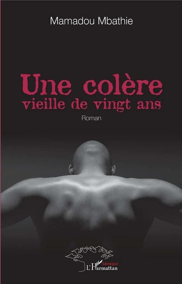 Une colère vieille de vingt ans : roman