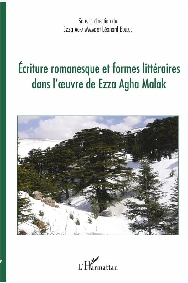 Écriture romanesque et formes littéraires dans l'oeuvre de Ezza Agha Malak