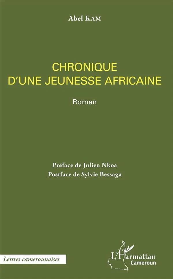 Chronique d'une jeunesse africaine : roman